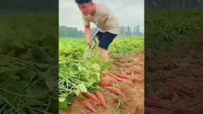 Nghị lực phi thường trong cuộc sống p23#shorts