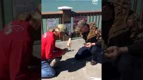Two Men Help Pelican Tangled In Rope | People Are Awesome #shorts