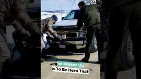 Bald Eagle Stuck In Truck Gets Rescued | People Are Awesome #shorts