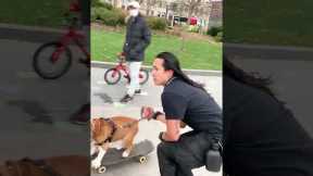 Man And Dog Skateboard In New York City | National Pet Day | People Are Awesome #shorts #pets