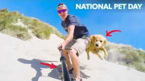 Surfing, Snowboarding & ﻿More | National Pet Day | People Are Are Awesome