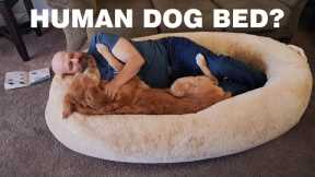 Plufl Review: Shark Tank's $400 Human Dog Bed?