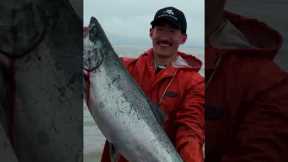 The price of Copper River king salmon can be up to six times that of other wild salmon. #seafood
