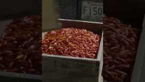Behind the scenes on how Tabasco created their red sauce. #food #cooking #sauce