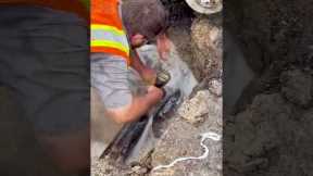 Workers Repair Water Lines | People Are Awesome