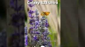 iPhone 15 Blurry?! Try Galaxy S23 Ultra PHOTO ZOOM 🦋 🔭