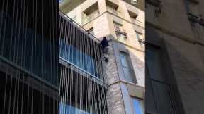 Man Climbs Up Building And Surprises Resident With Abilities