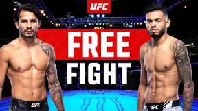 Alexandre Pantoja vs Brandon Royval 1 | FREE FIGHT | UFC 296