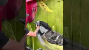 Graffiti Artist Creates Spray Paint Masterpiece!