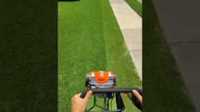 Genius $17 lawn care tool