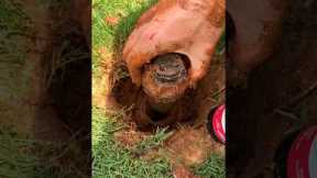 Replace Sprinkler Head in 5 Mins - Easy DIY Fix