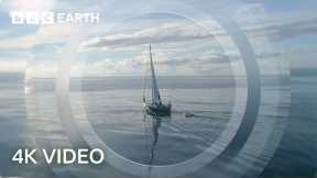 Exploring the Open Ocean | North Atlantic | 4K UHD | BBC Earth