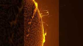 Solar flares are explosions on the Sun which emit radiation into space ☀️ #Science #Shorts #Space