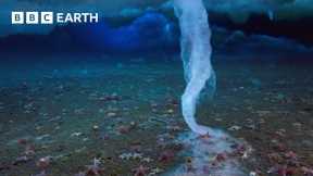 The 'Finger of Death' That Freezes Everything It Touches | Earth's Great Seasons | BBC Earth