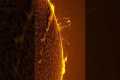 Solar flares are explosions on the